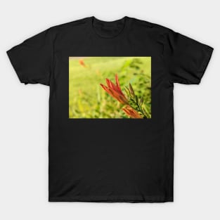 Day Lily Opening 2 T-Shirt